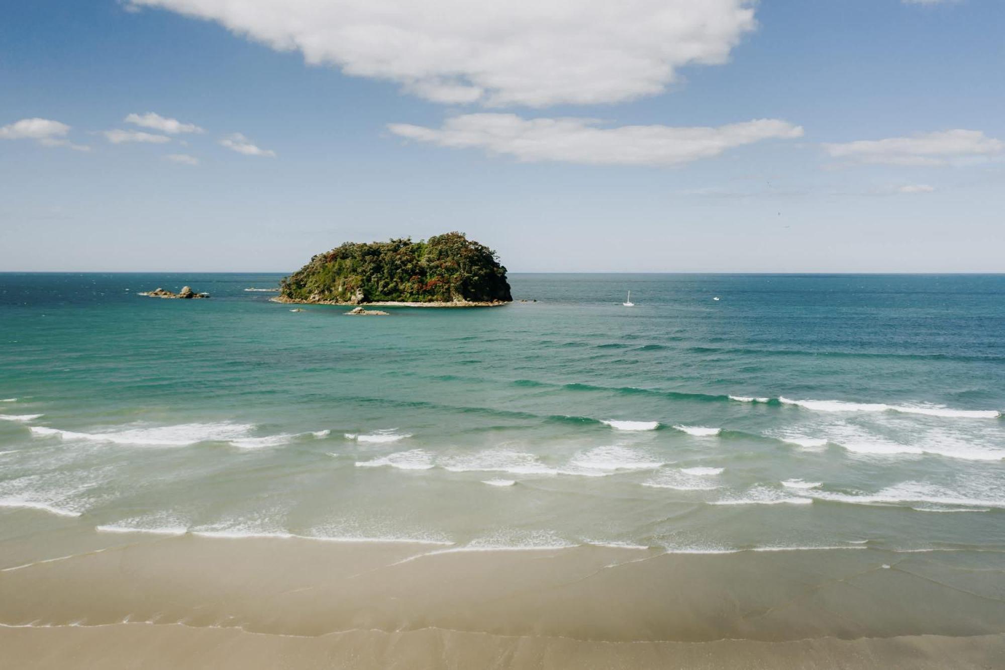 Oceanside Bliss - Absolute Beachfront - Uninterrupted Ocean Views With Pool Lägenhet Mount Maunganui Exteriör bild